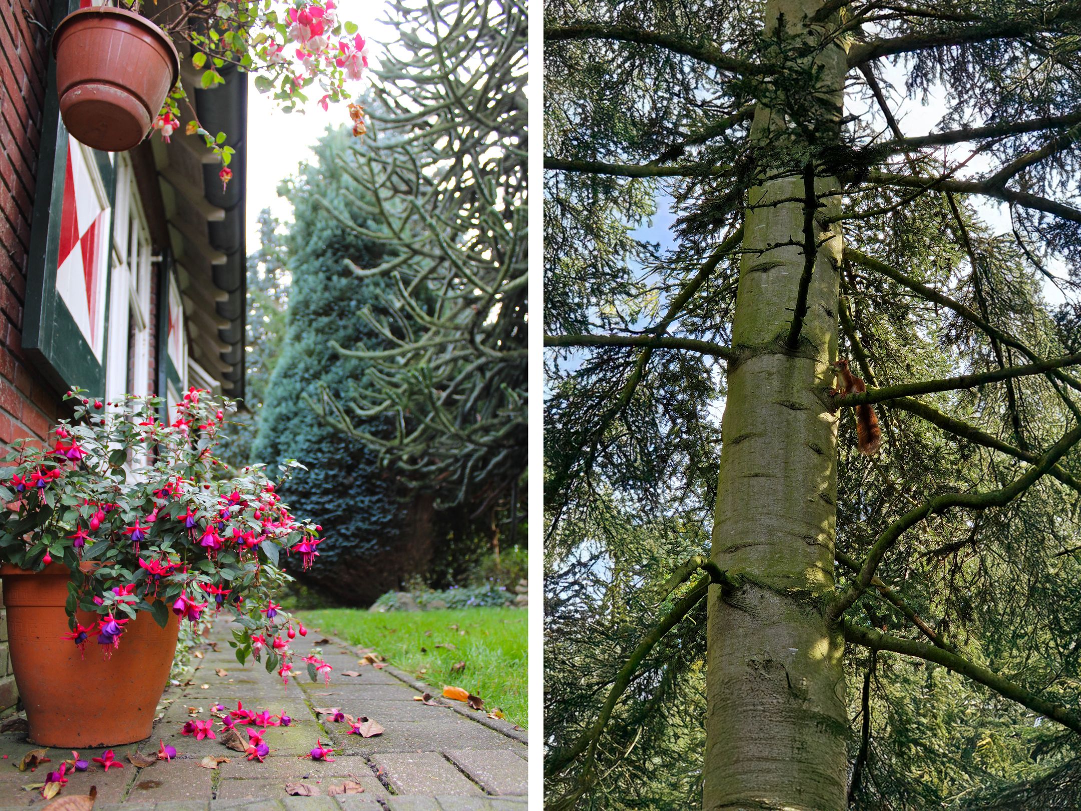 Foto 45 van Leemslagenweg 53