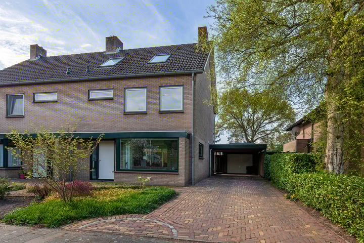 Handekenskruid 40