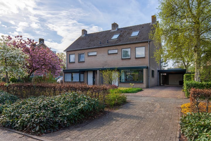 Foto 2 van Handekenskruid 40