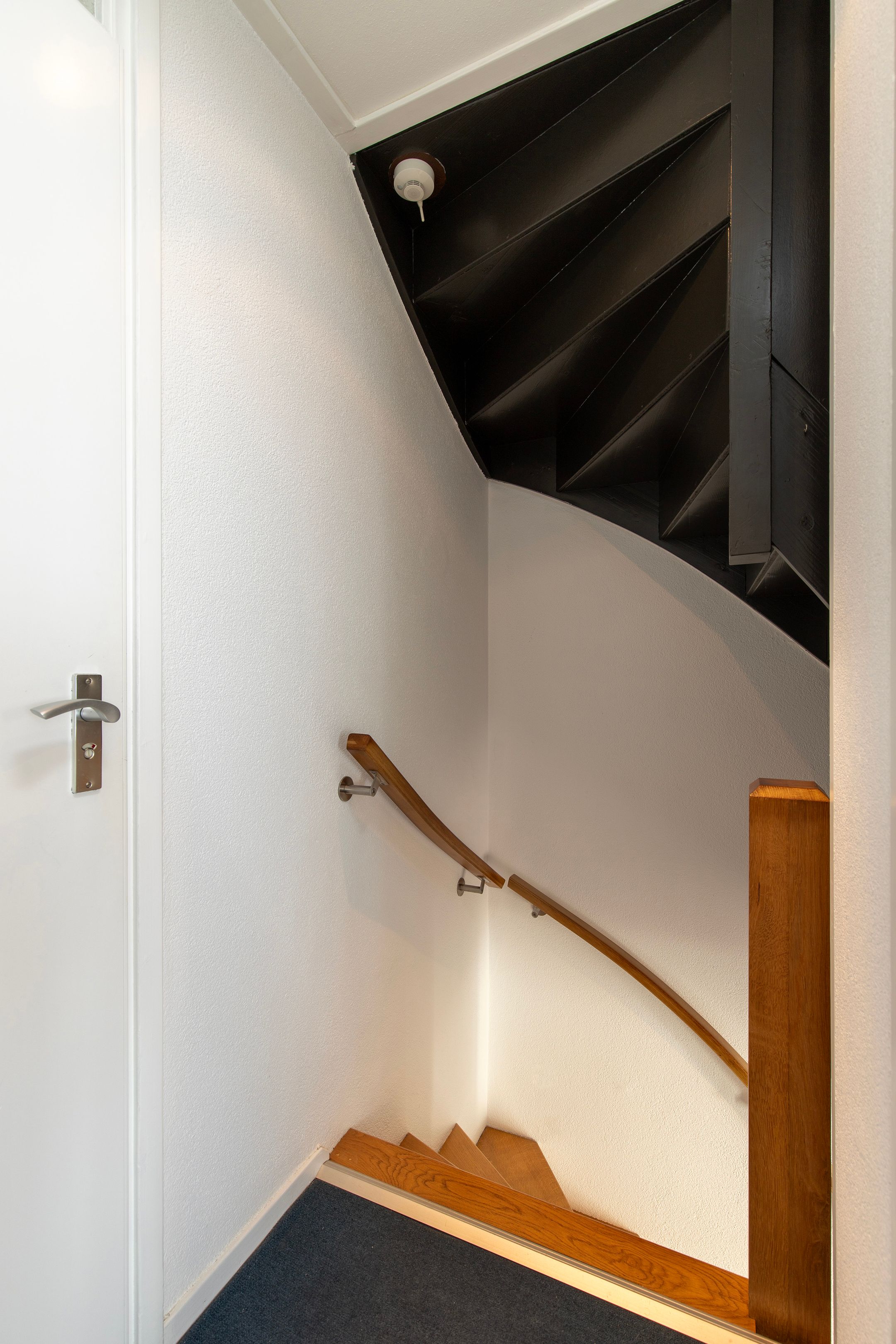 Foto 18 van Handekenskruid 40