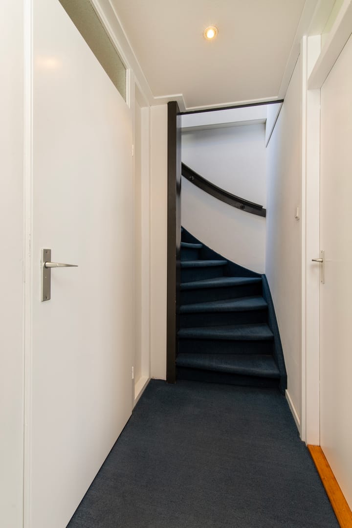 Foto 19 van Handekenskruid 40