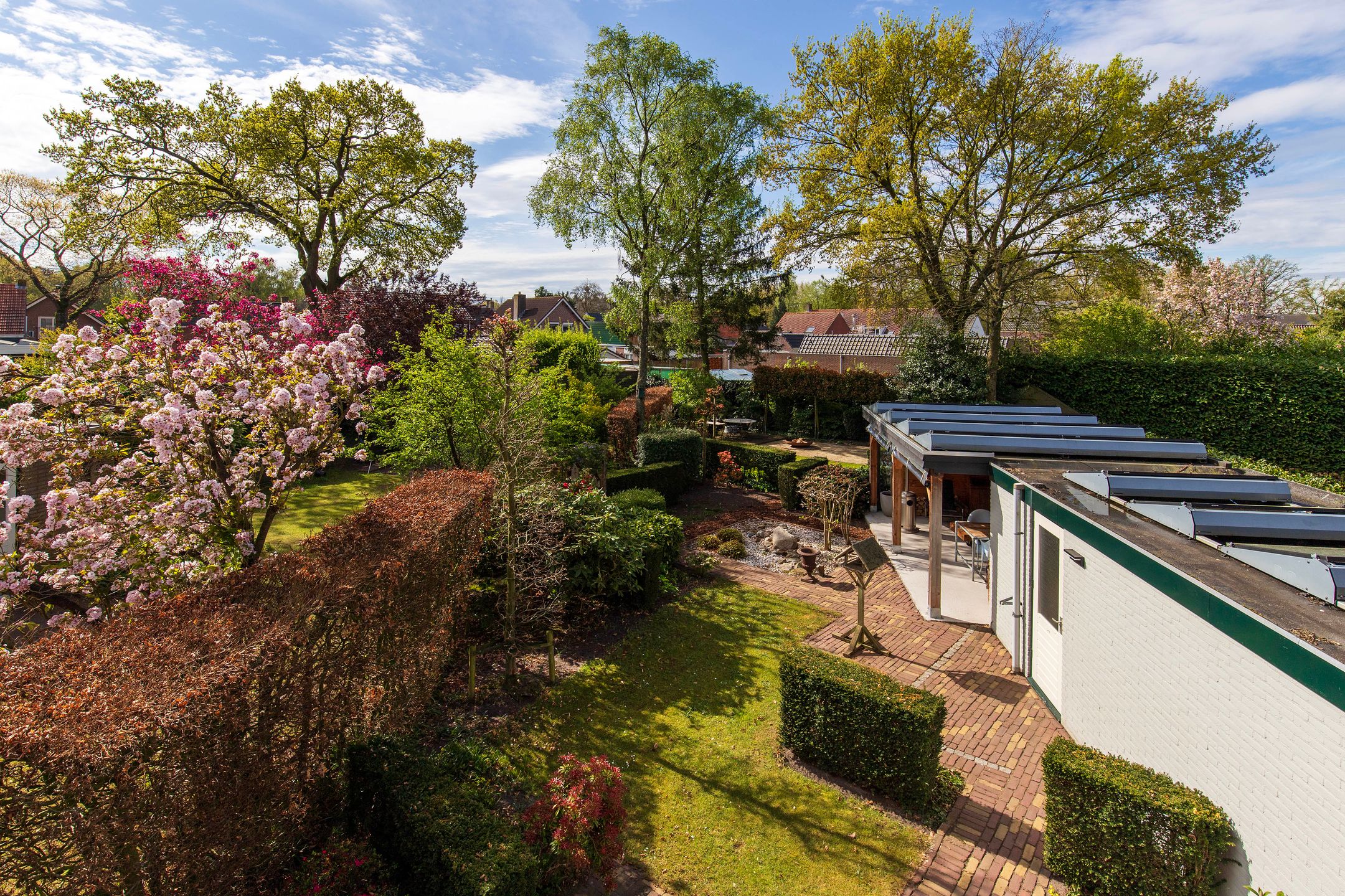 Foto 30 van Handekenskruid 40