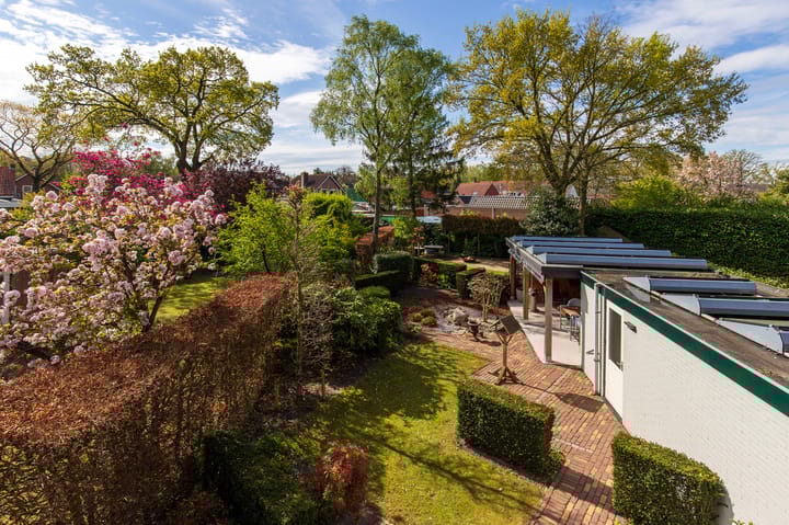 Foto 30 van Handekenskruid 40