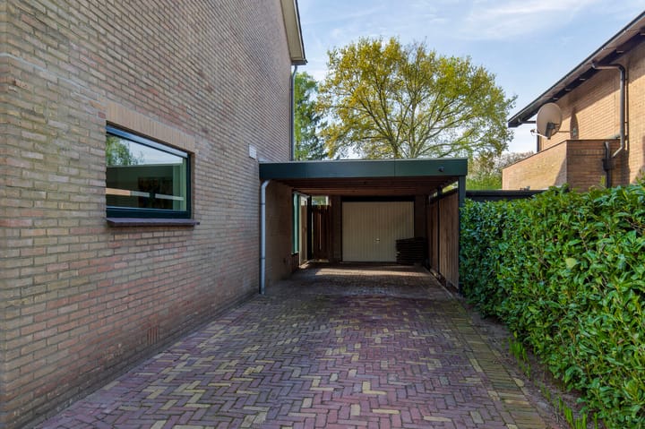 Foto 37 van Handekenskruid 40