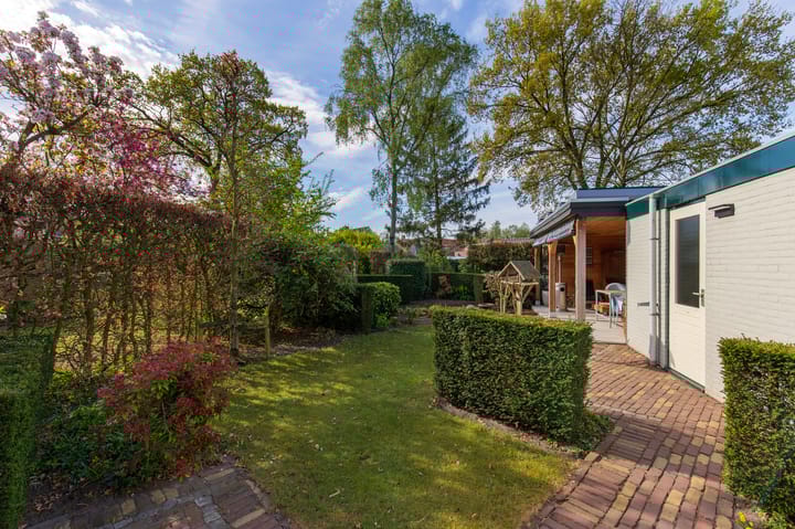 Foto 39 van Handekenskruid 40