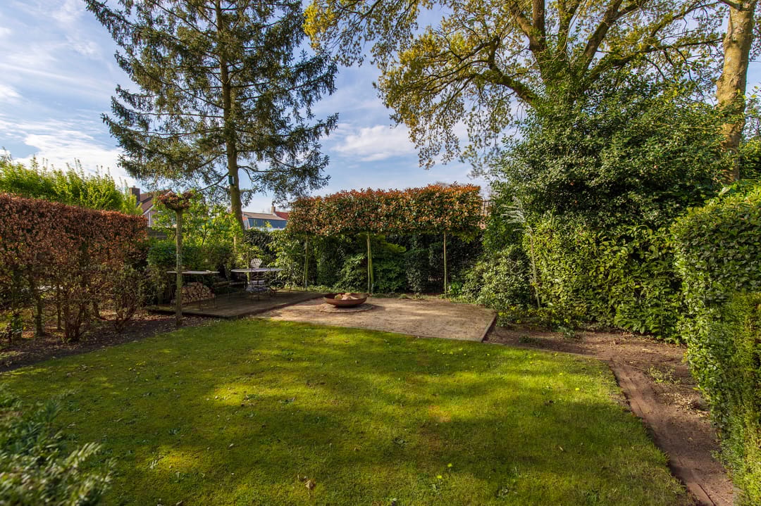 Foto 46 van Handekenskruid 40