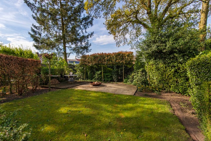 Foto 46 van Handekenskruid 40