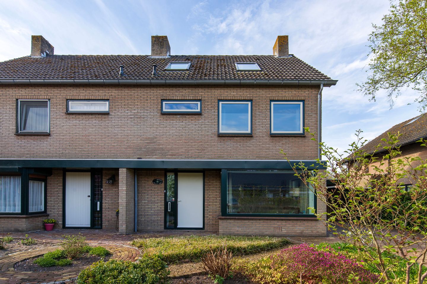 Foto 49 van Handekenskruid 40