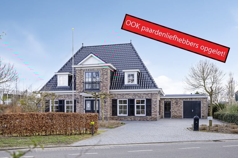 Wijzend 49-A main image