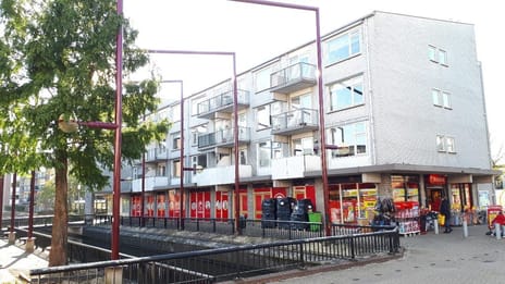 undefined main image