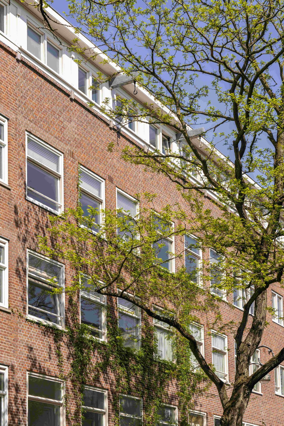 Foto 28 van Van Rappardstraat 6-3