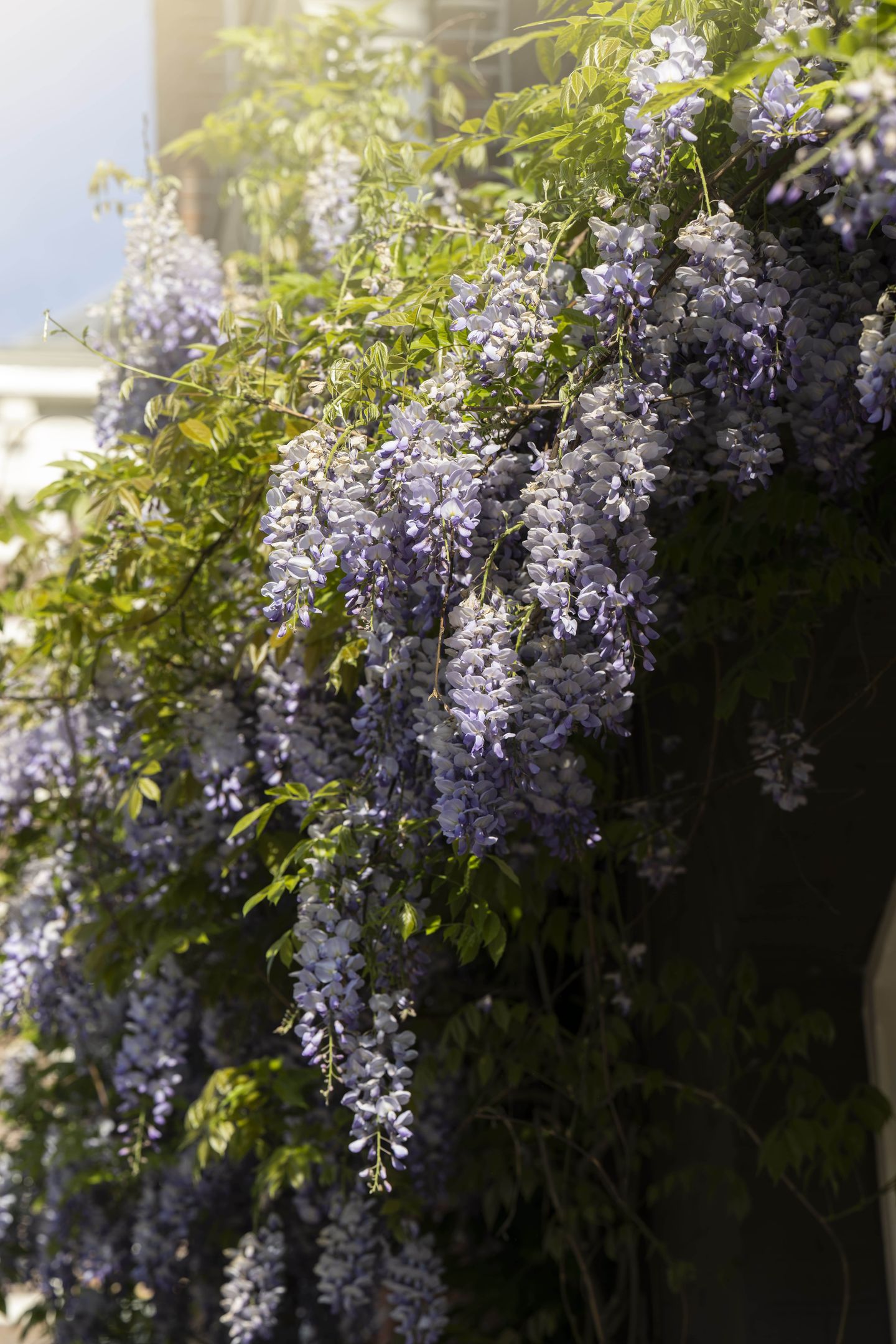 Foto 35 van Van Rappardstraat 6-3