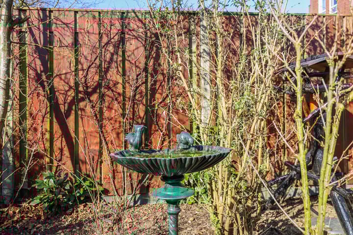 Foto 12 van Laan van de Charleston 56