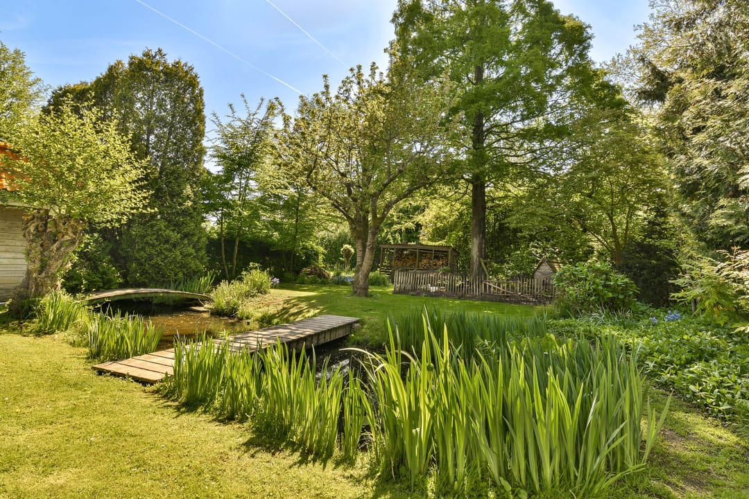 Foto 37 van IJsseldijk 178