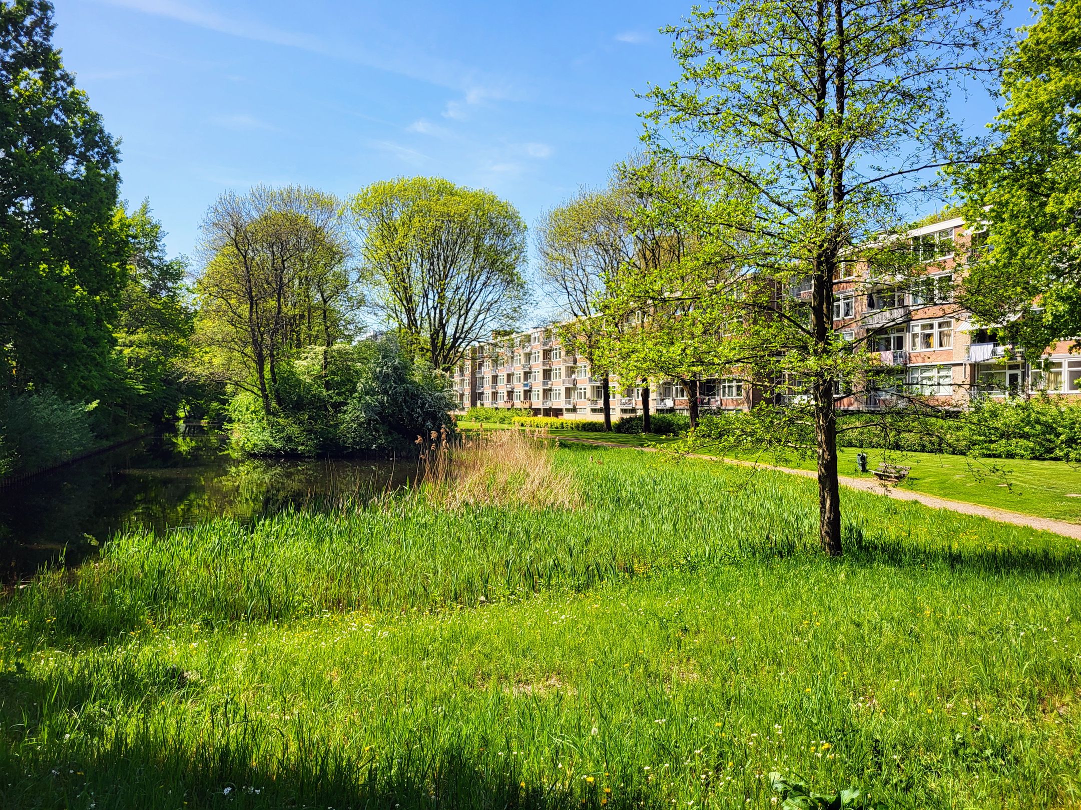 Foto 9 van Spurgeonlaan 34