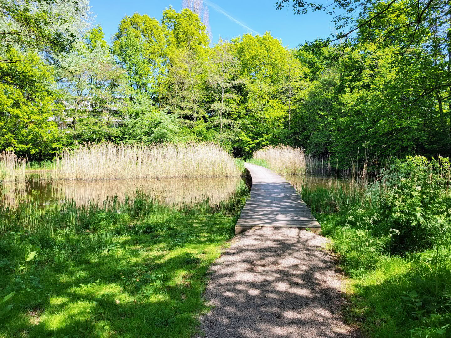 Foto 10 van Spurgeonlaan 34