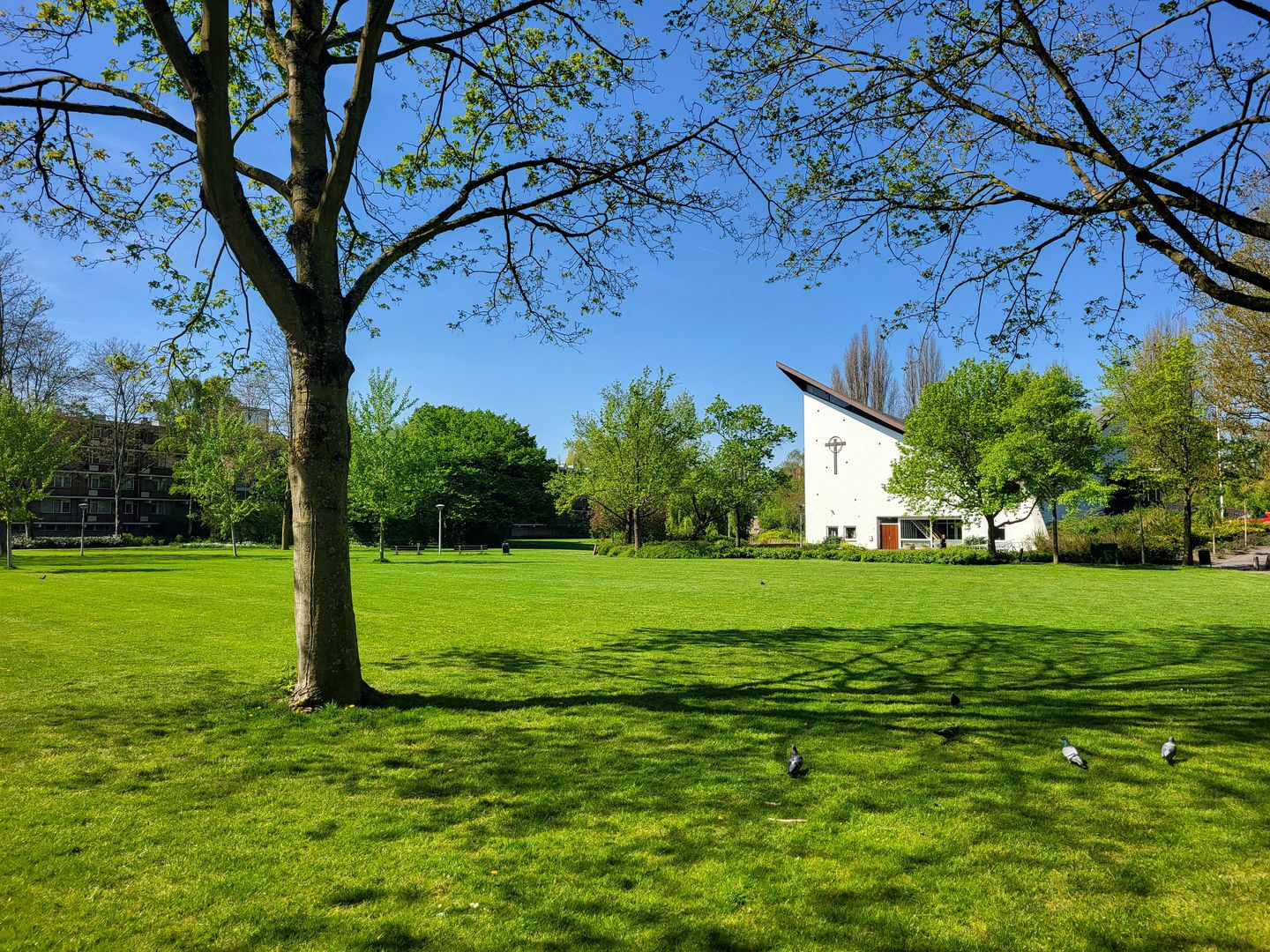 Foto 19 van Spurgeonlaan 34