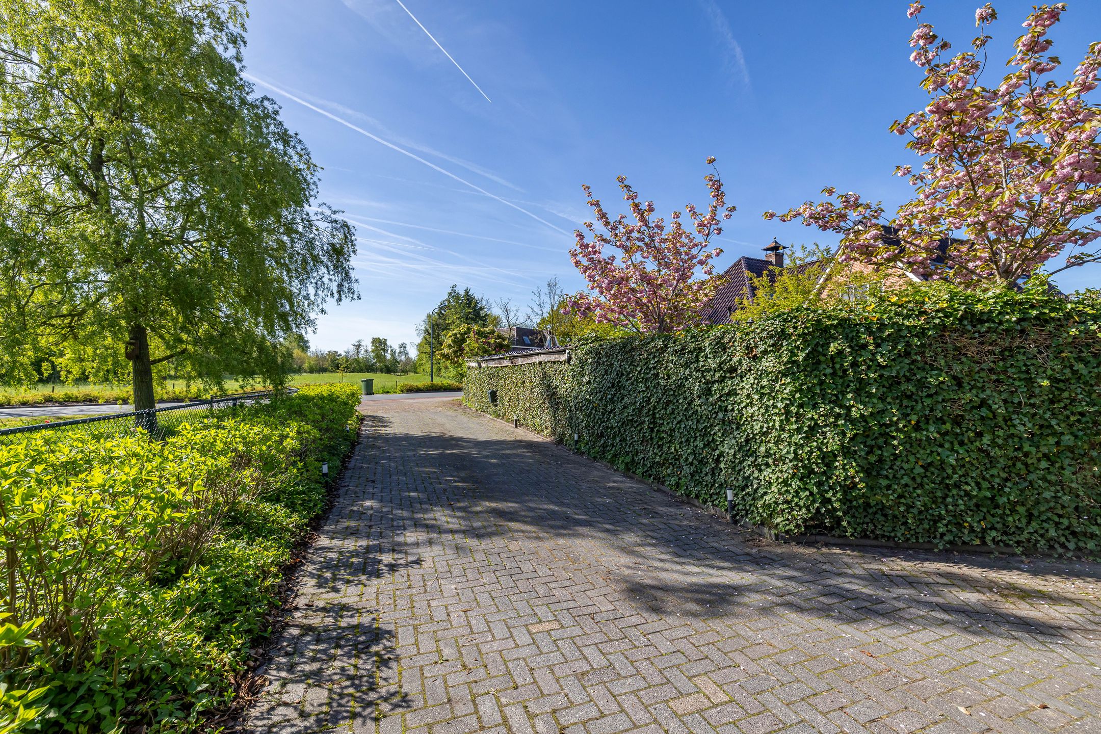 Photo 51 of Molenweg 48
