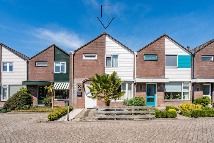 undefined main image