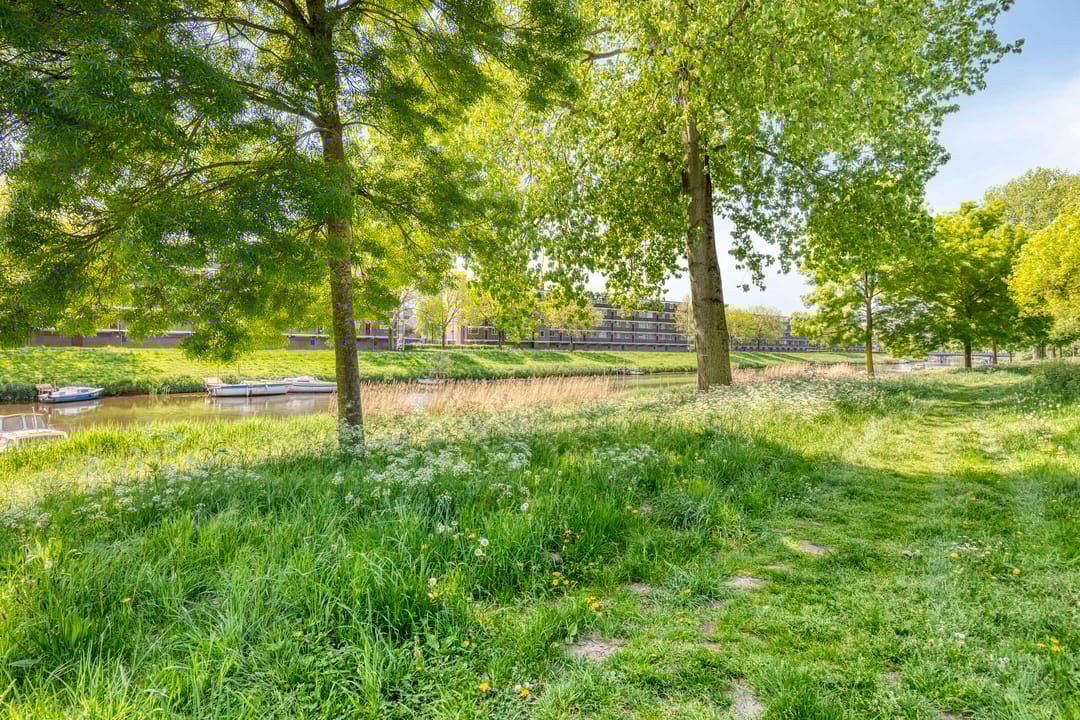 Foto 26 van van Reysstraat 79