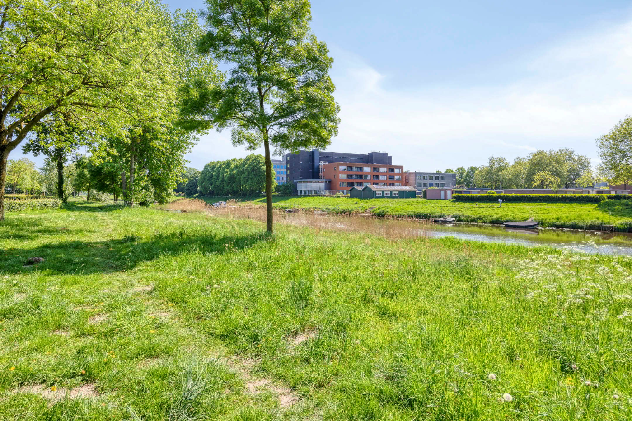 Foto 27 van van Reysstraat 79