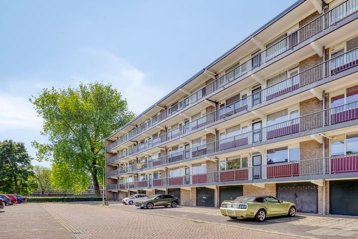 Foto 30 van van Reysstraat 79