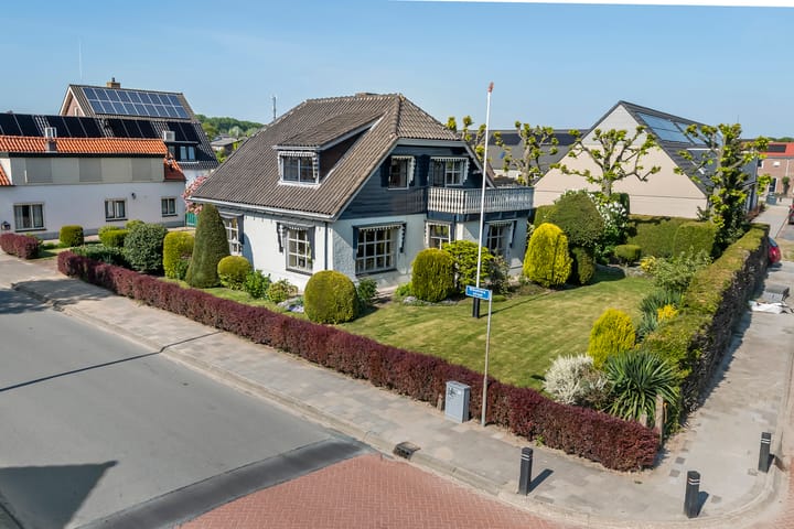 undefined main image
