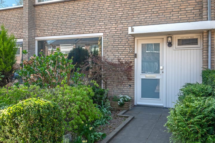 Foto 2 van Livornostraat 12