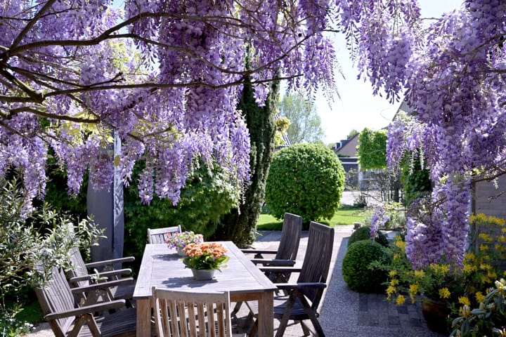 Foto 48 van Zutphensestraat 132