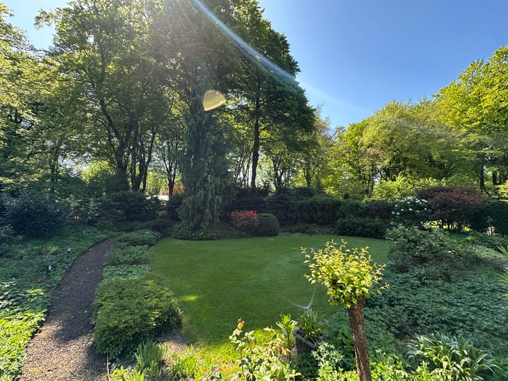 Foto 36 van Bernadottelaan 9