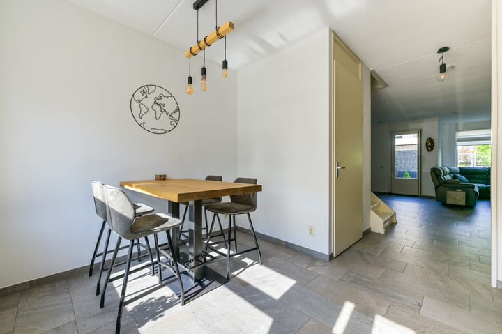 Foto 3 van Boerenzwaluw 6