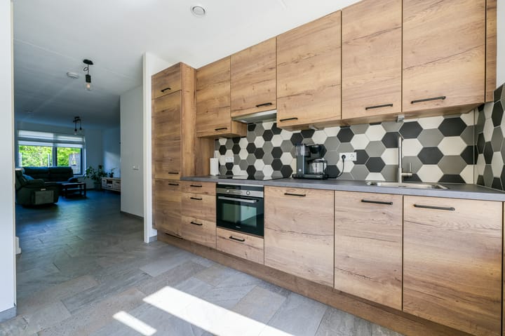 Foto 4 van Boerenzwaluw 6