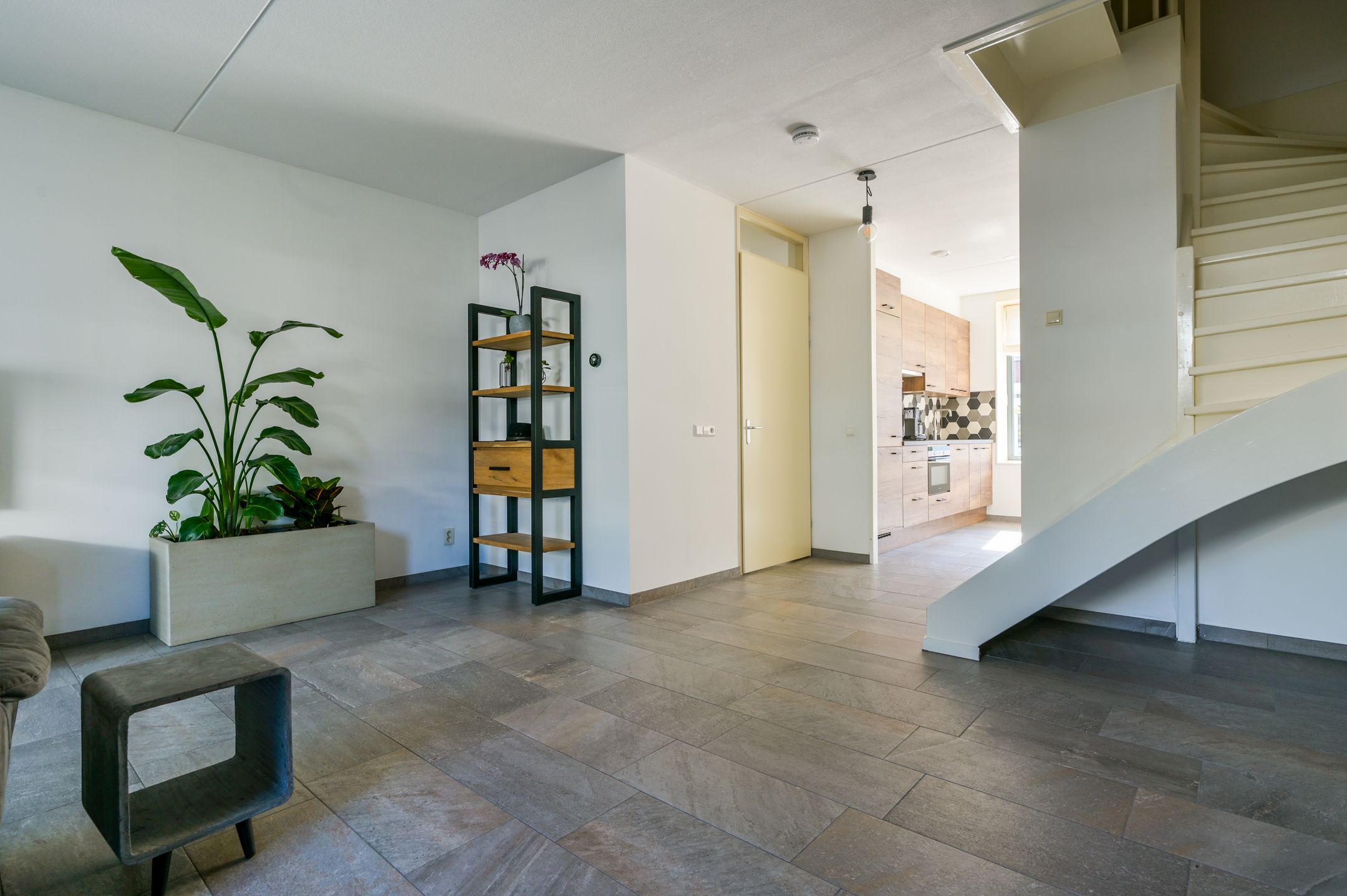 Foto 9 van Boerenzwaluw 6