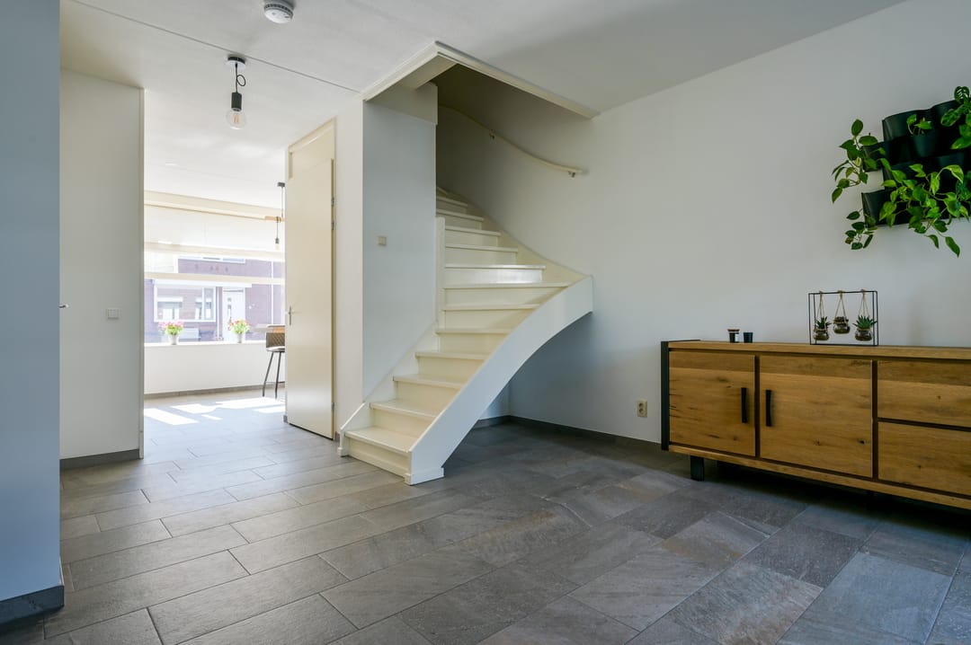 Foto 11 van Boerenzwaluw 6