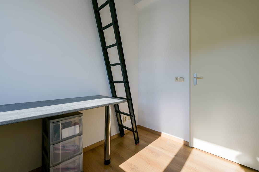 Foto 22 van Boerenzwaluw 6