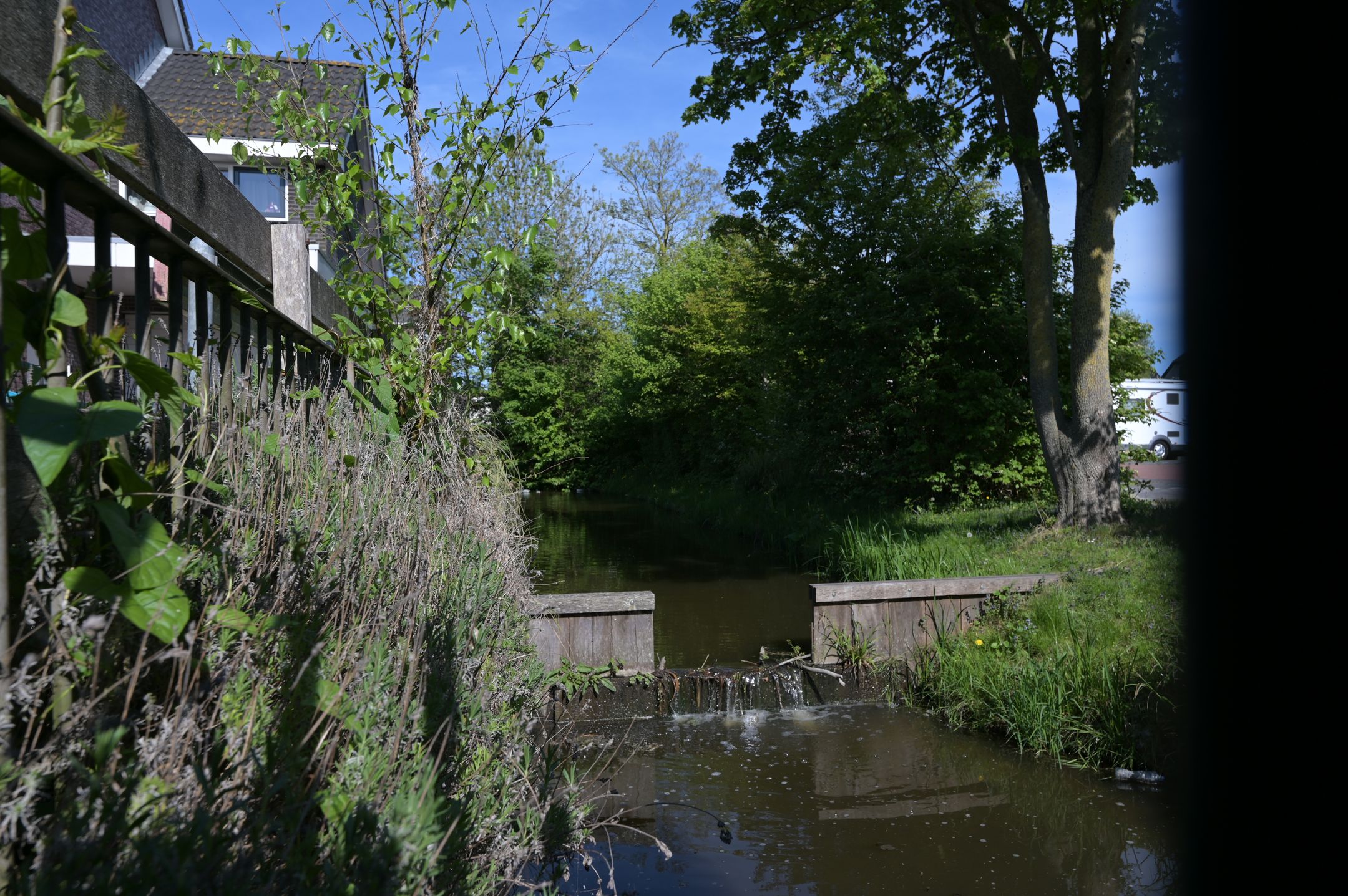 Foto 27 van Boerenzwaluw 6