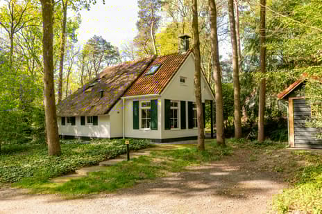 De Witte Bergen thumbnail