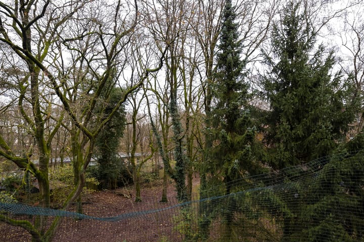 Foto 27 van van Heutszlaan 54-1