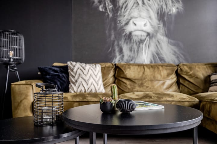 Foto 14 van Apollolaan 63