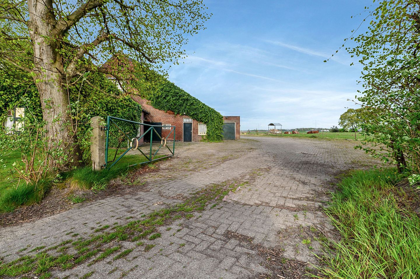 Foto 25 van Nieuwe Biezenweg 3