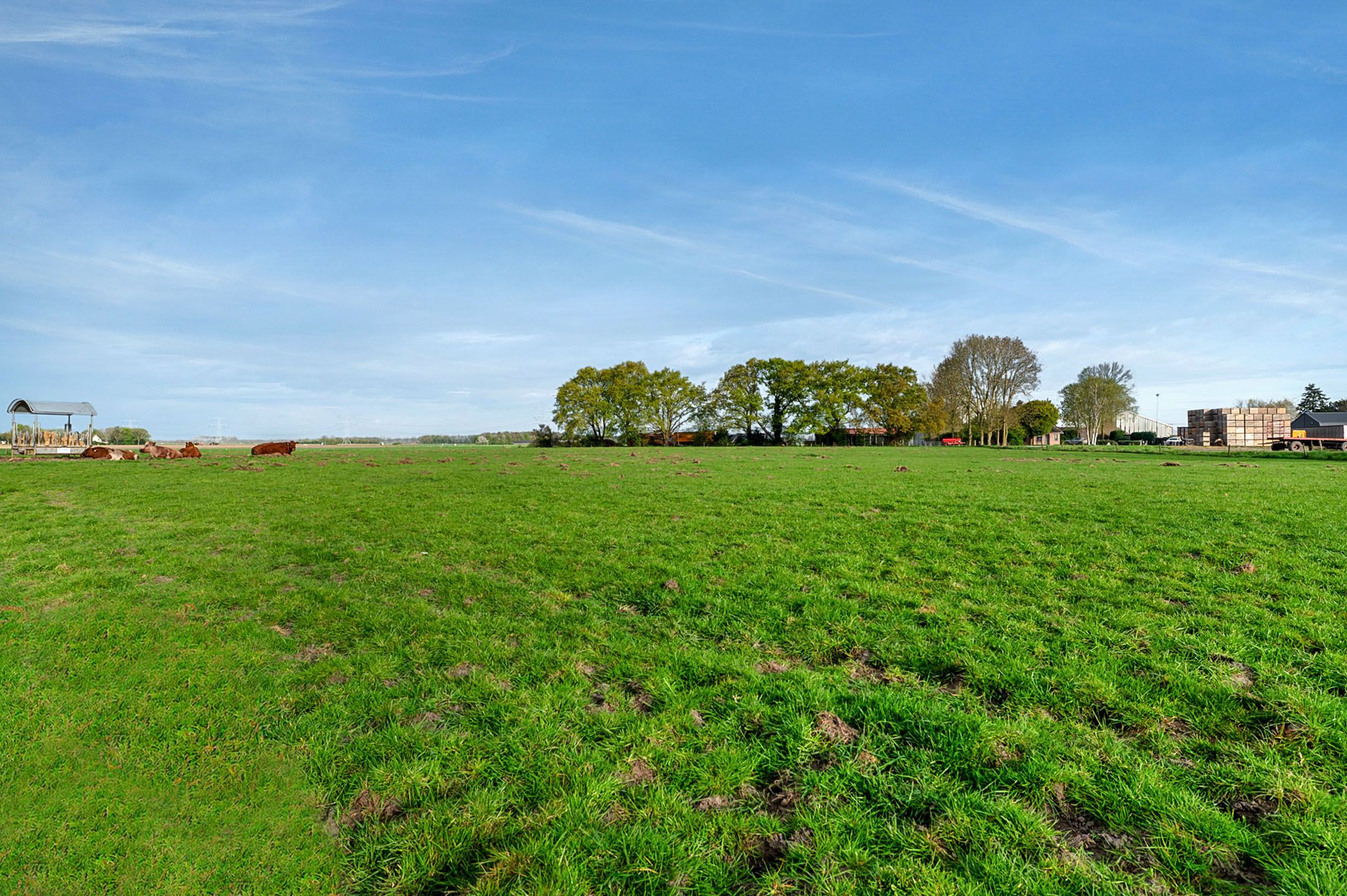 Foto 30 van Nieuwe Biezenweg 3