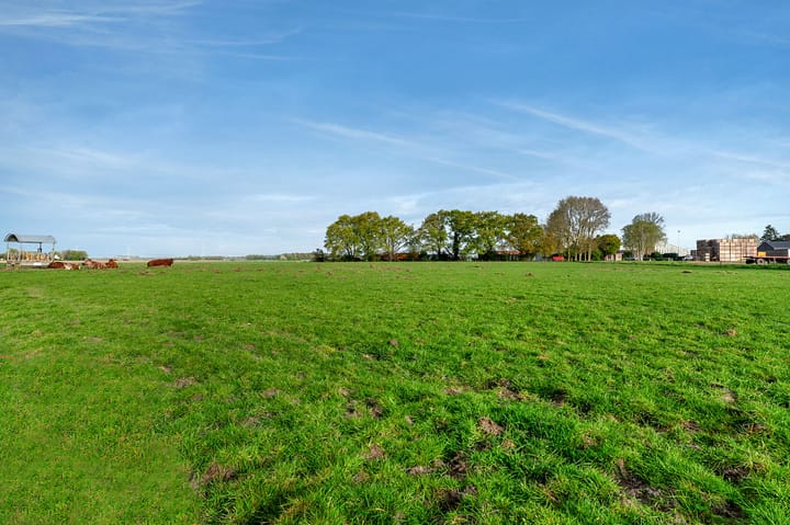 Foto 30 van Nieuwe Biezenweg 3