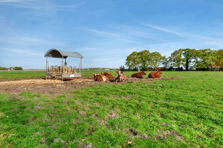 Foto 31 van Nieuwe Biezenweg 3