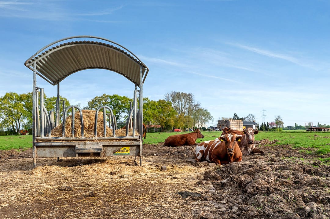 Foto 32 van Nieuwe Biezenweg 3