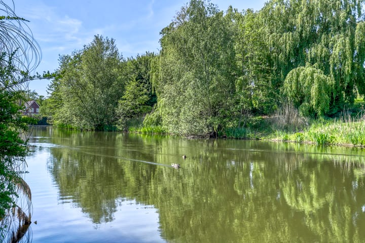 Foto 21 van Oosteinde 293