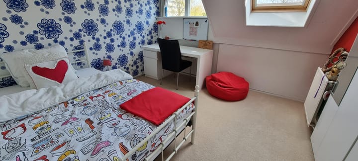 Photo 55 of Paulus Buyslaan 17