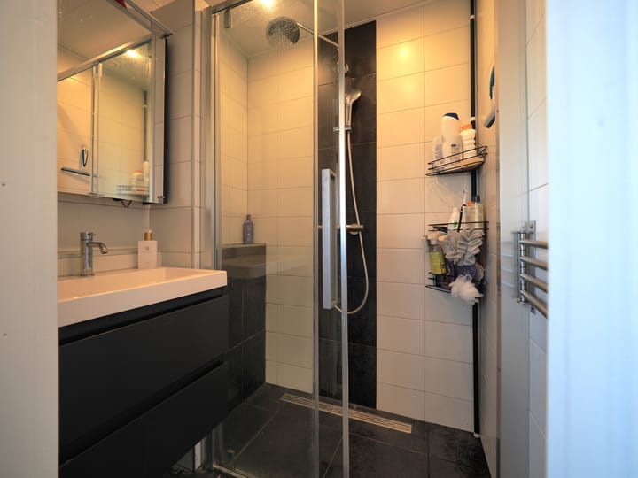 Photo 43 of Vrijheer van Eslaan 499