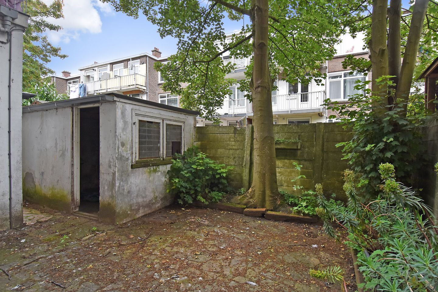 Foto 19 van Brandtstraat 139