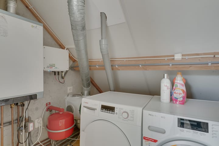 Photo 35 of Woestijnvaraan 57