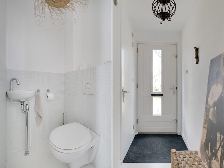 Photo 36 of Woestijnvaraan 57